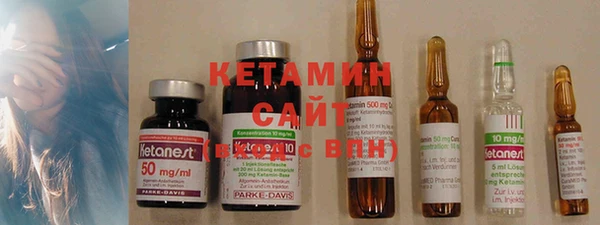 индика Гусиноозёрск
