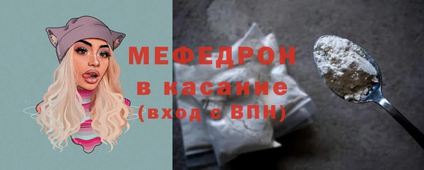 индика Гусиноозёрск