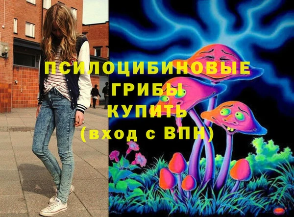 гашишное масло Дмитровск