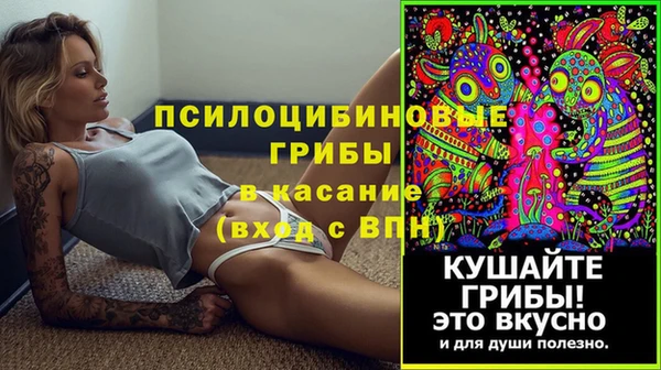 кокс Дмитриев
